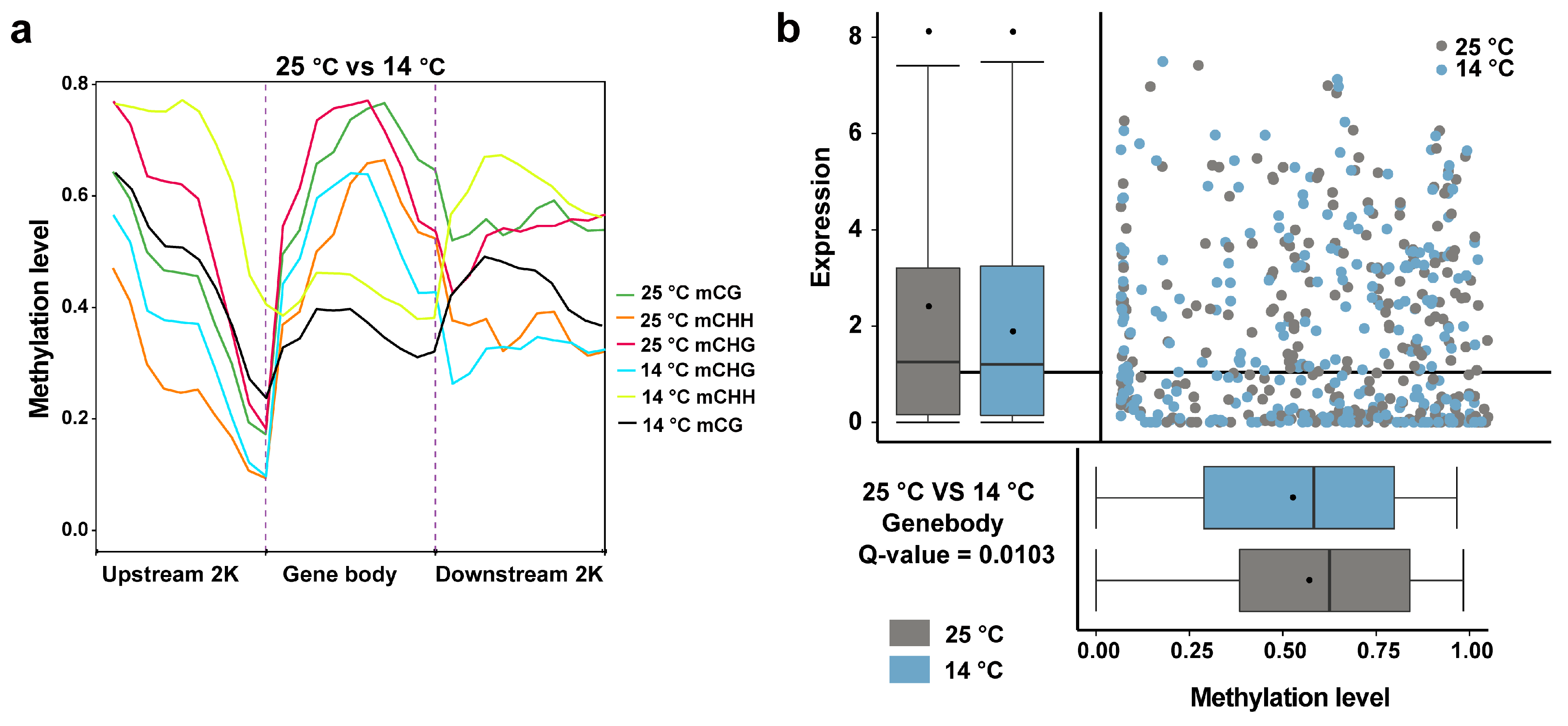 Landscape Architecture Notes.pdf Cold Stress-Induced DNA Methylation Profiling and Its Association with ...