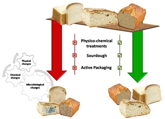 The Perfect Slice: How to Select and Maintain a Commercial Bread