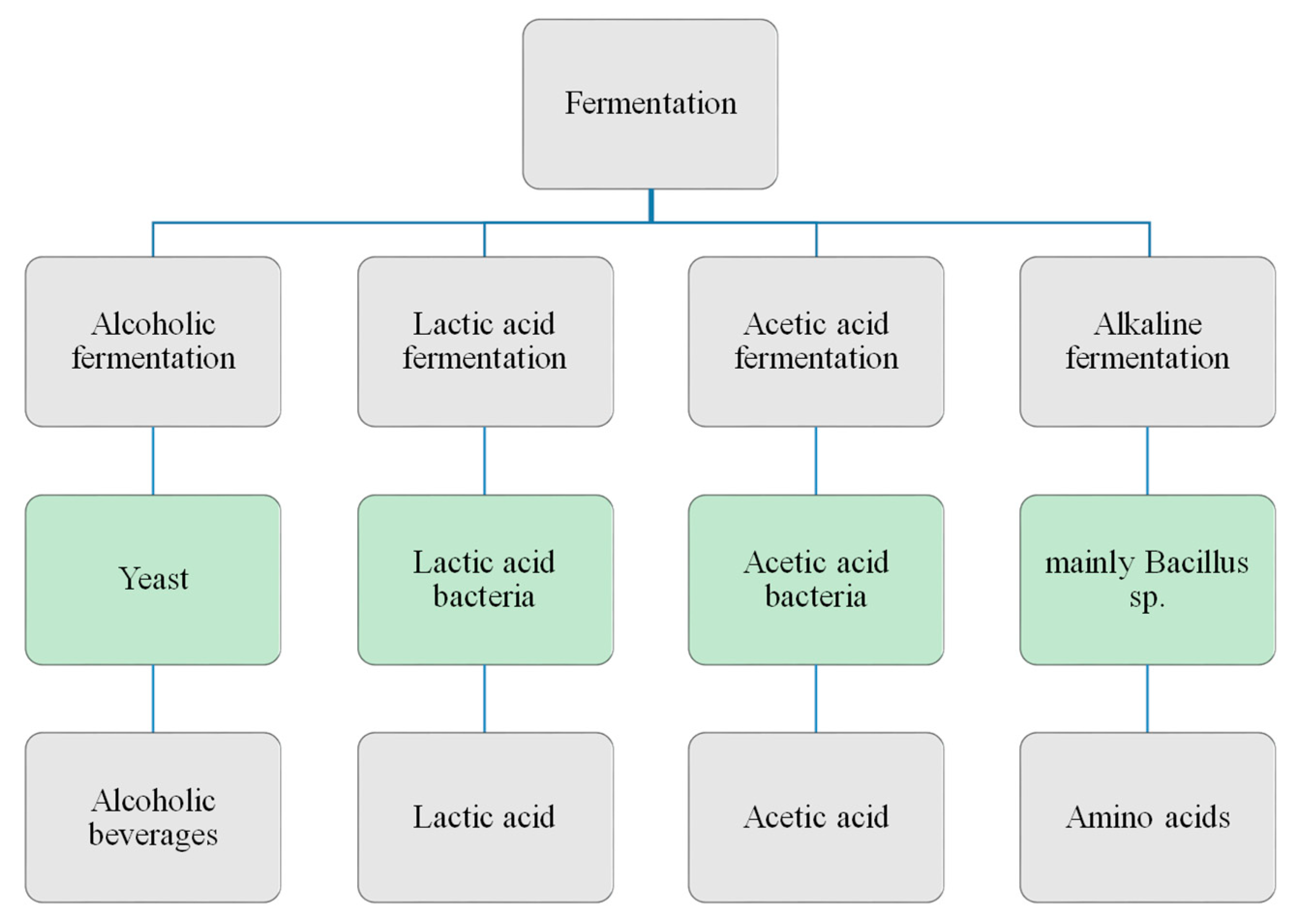 research articles in fermentation