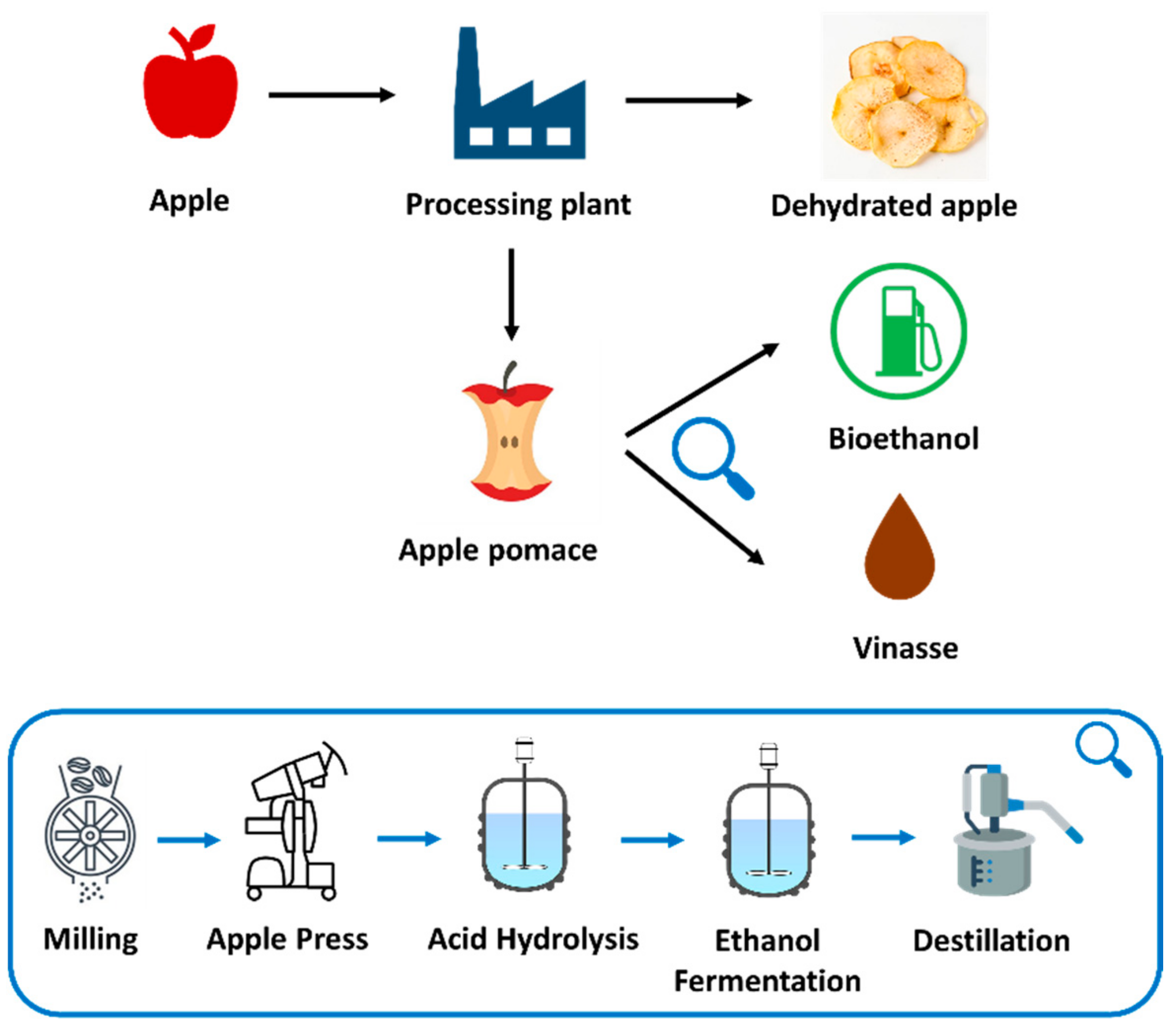 Fermentation | Free Full-Text | Apple Agro-Industrial Waste for Bioethanol and Vinasse Joint Production: Screening Potential of Chile