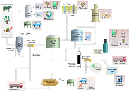 Biochemical biorefinery: A low-cost and non-waste concept for