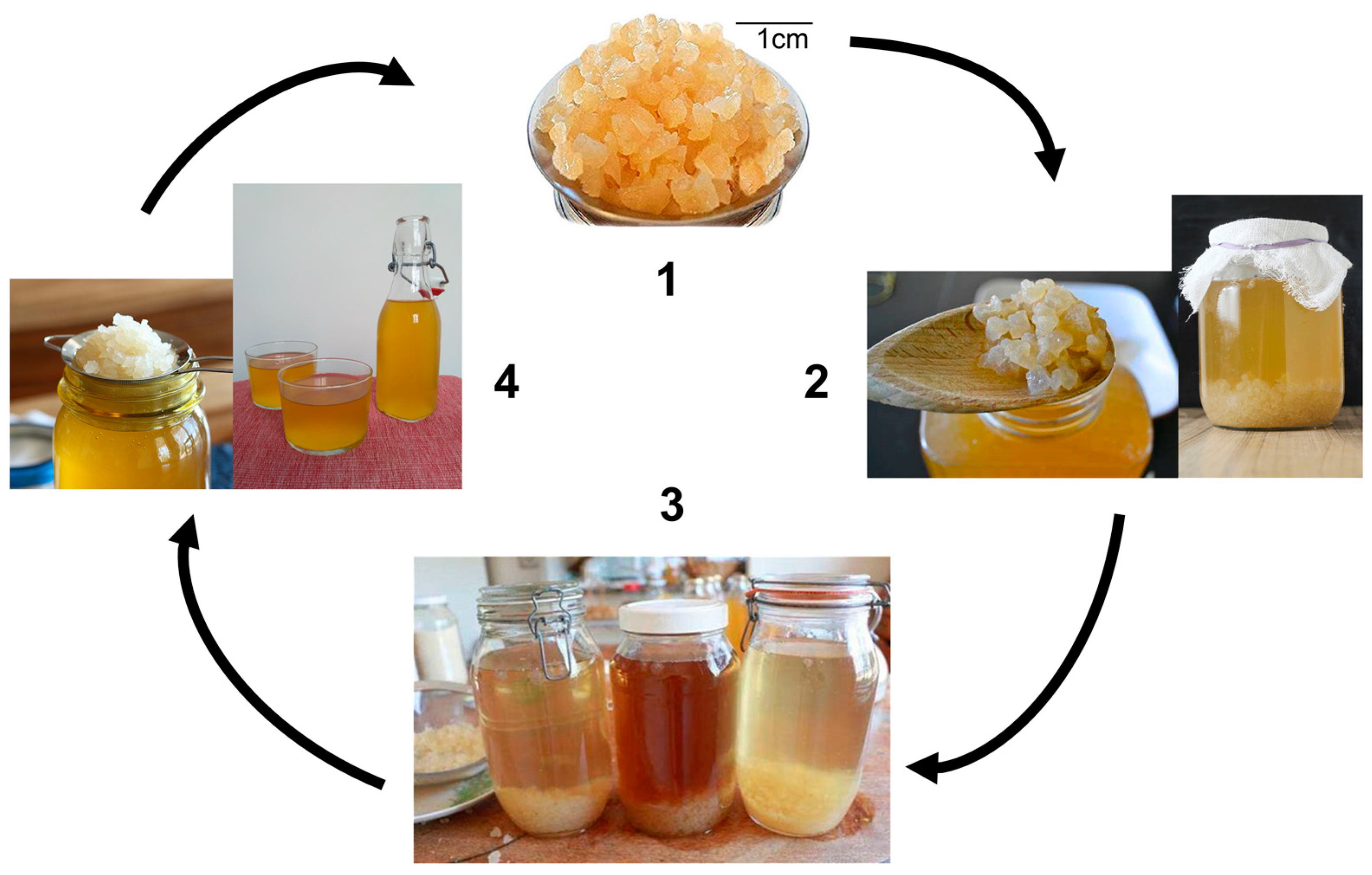 Problems with water kefir grains and how to solve them - KEFIRKO