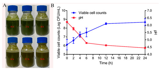Effects of Streptococcus thermophilus Fermentation on the Flavors and ...