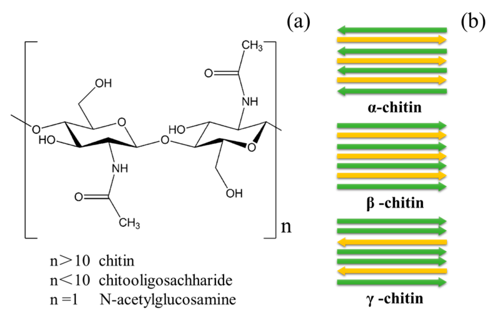 Engineered LPMO Significantly Boosting Cellulase-Catalyzed Depolymerization  of Cellulose