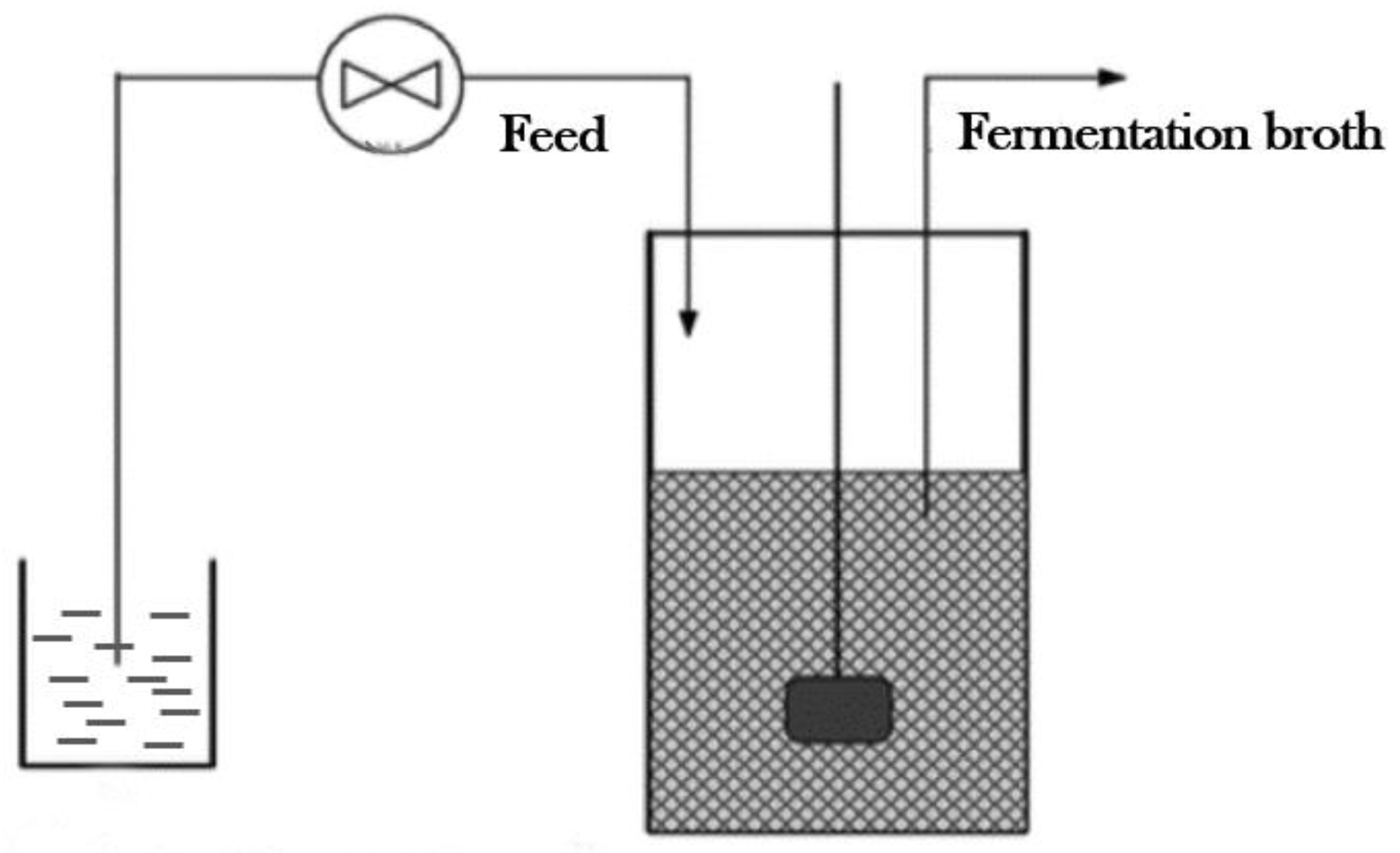 Continuous Fermentation - an overview