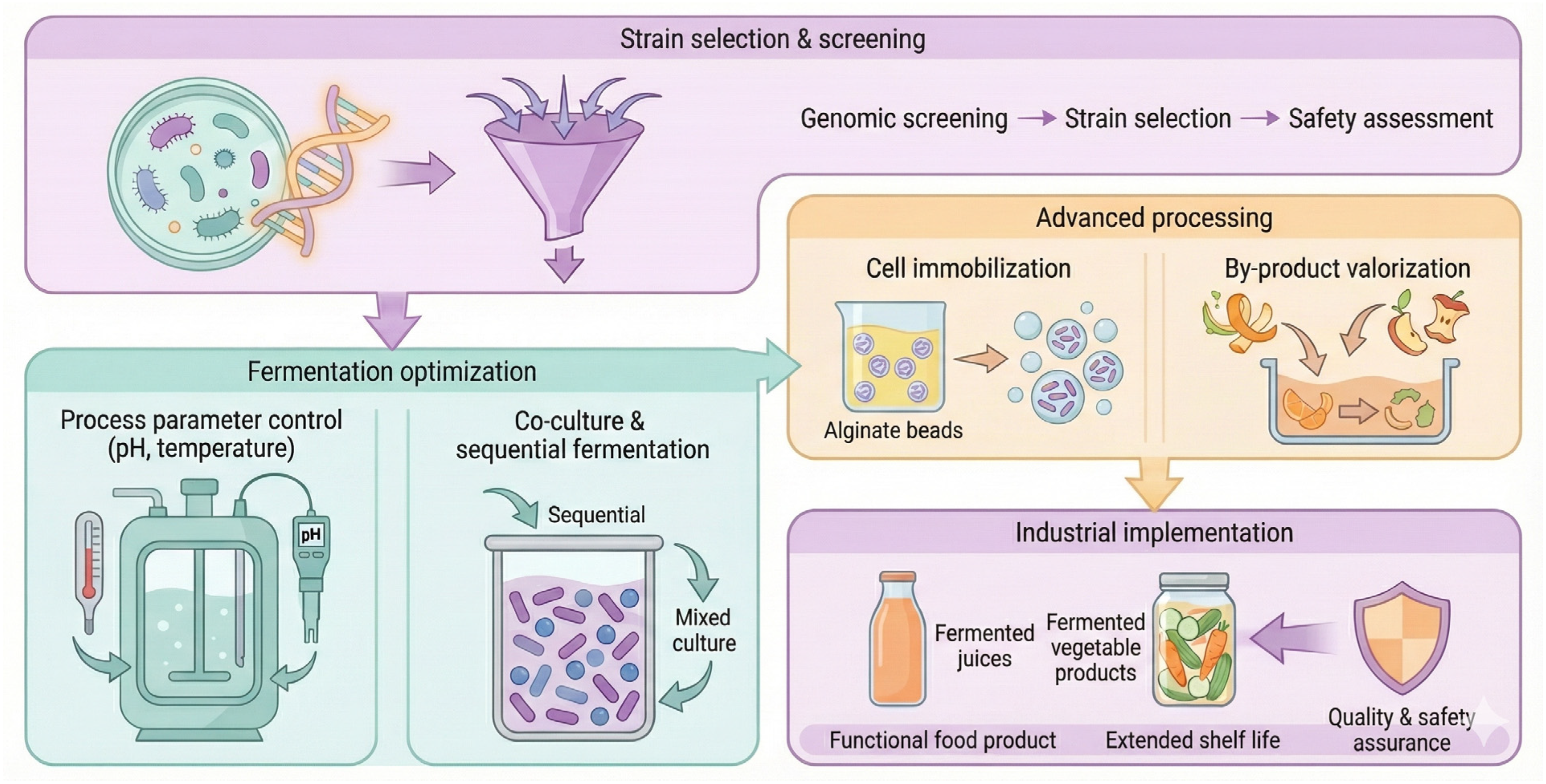 Applications of Limosilactobacillus fermentum in Fruit and Vegetable ...