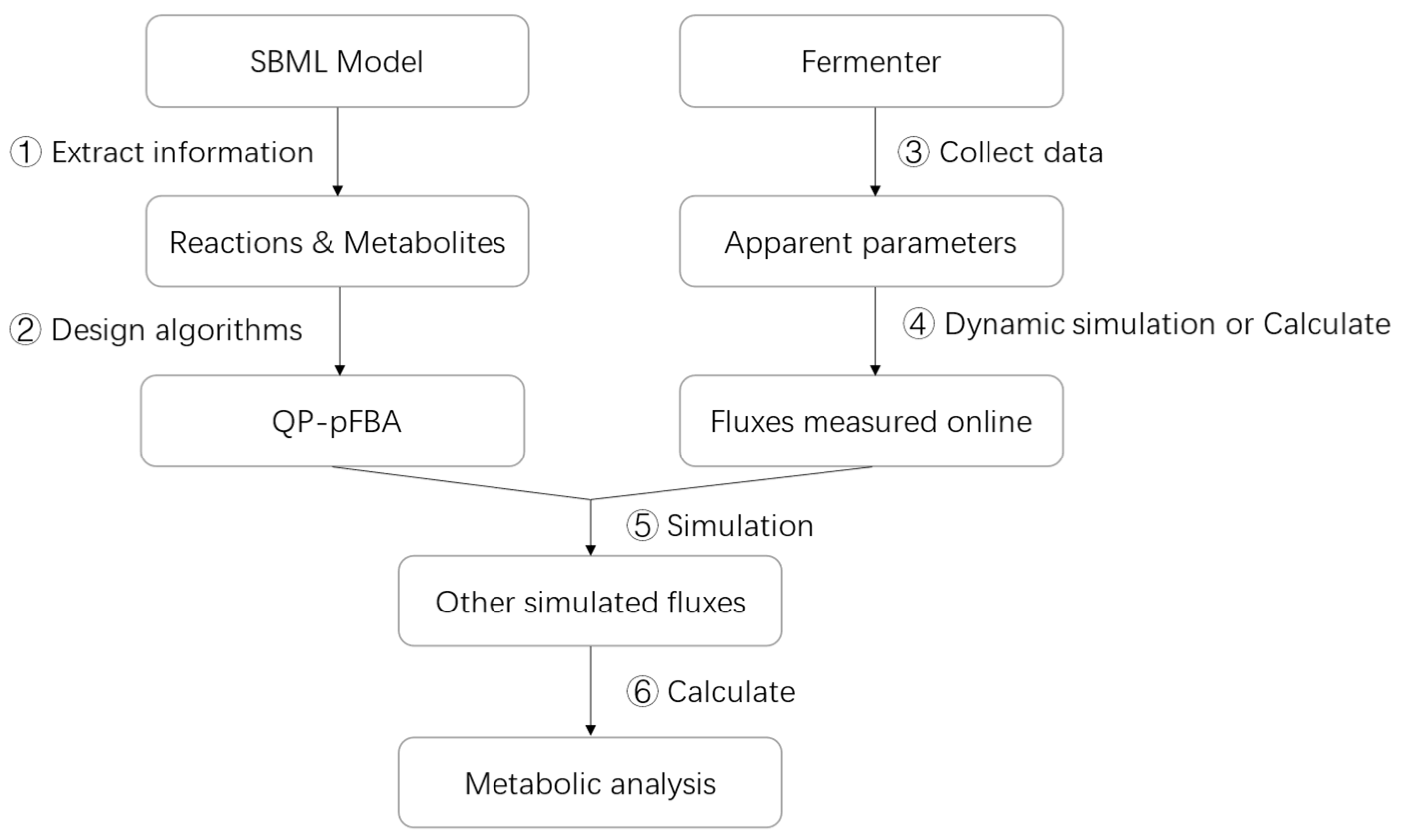 Metabolic Flux Analysis of Escherichia coli Based on Kinetic Model and ...