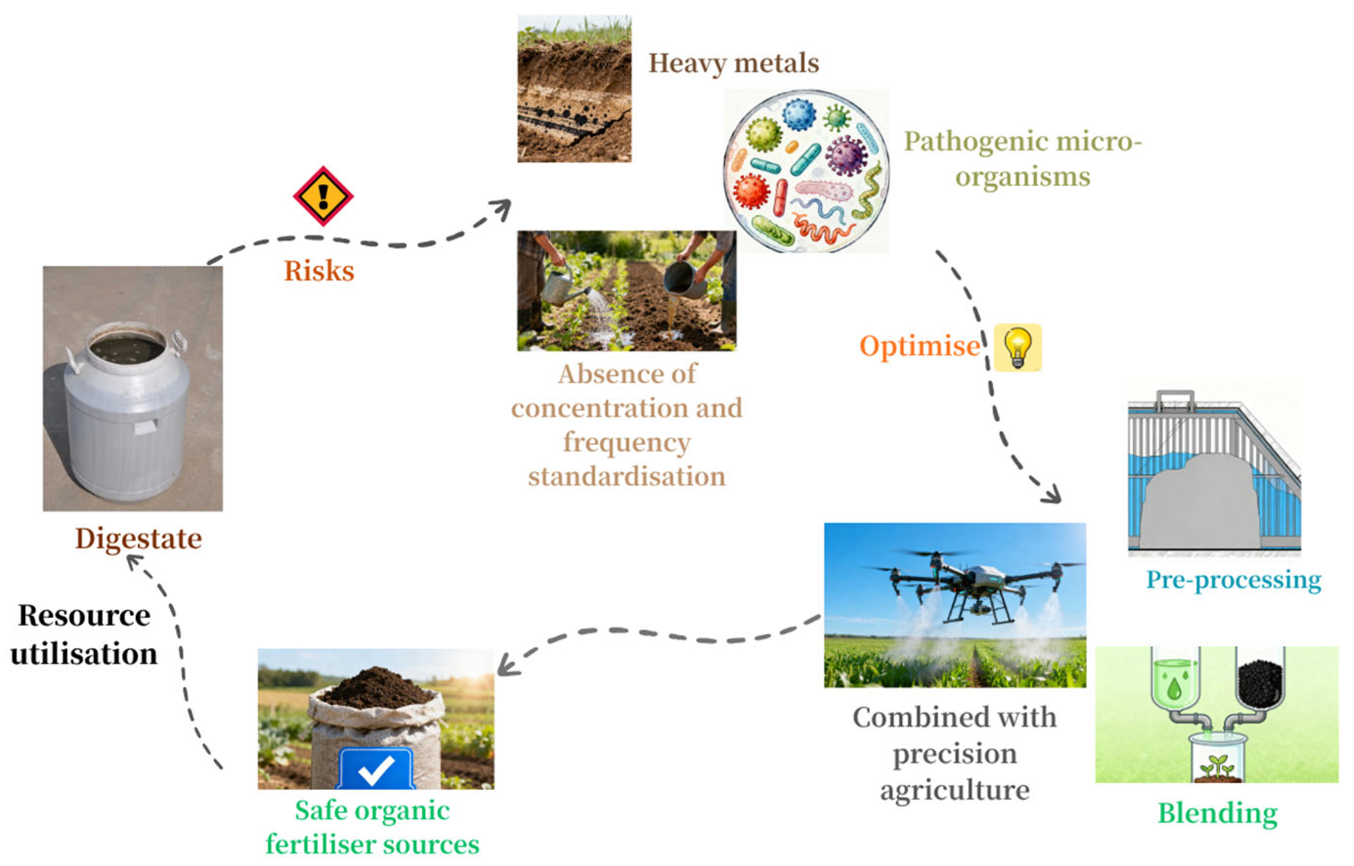 Digestate Application Improvement in Crop Growth and Quality with Anaerobic Digestate ...