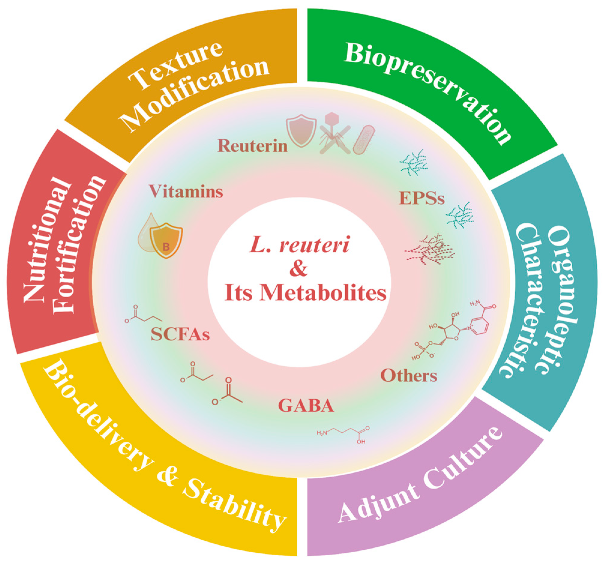 Functional and Technological Roles of Limosilactobacillus reuteri and ...