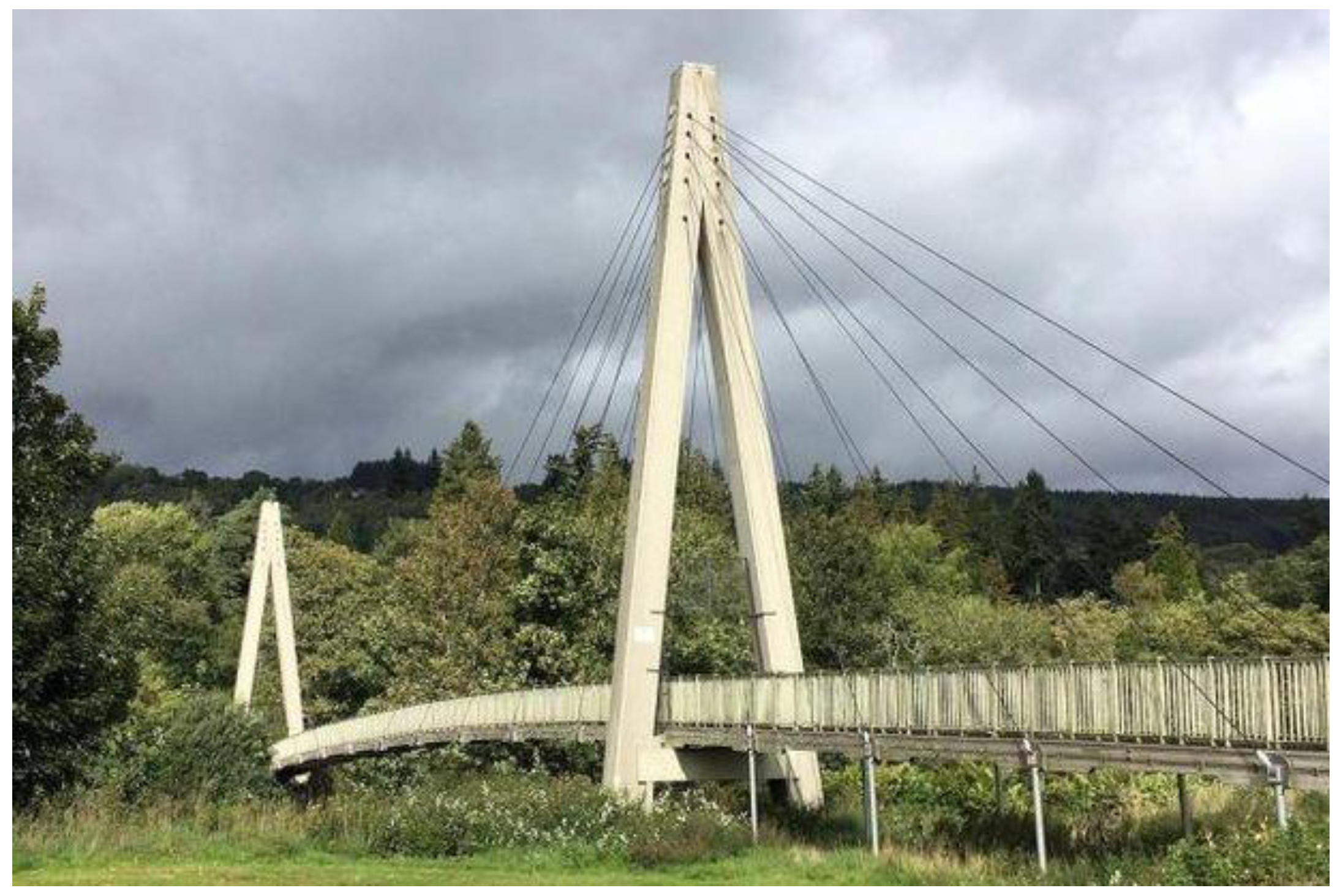 Garden Log Rope Bridge — Rope Bridge projects - UK and Worldwide - Design  and Install