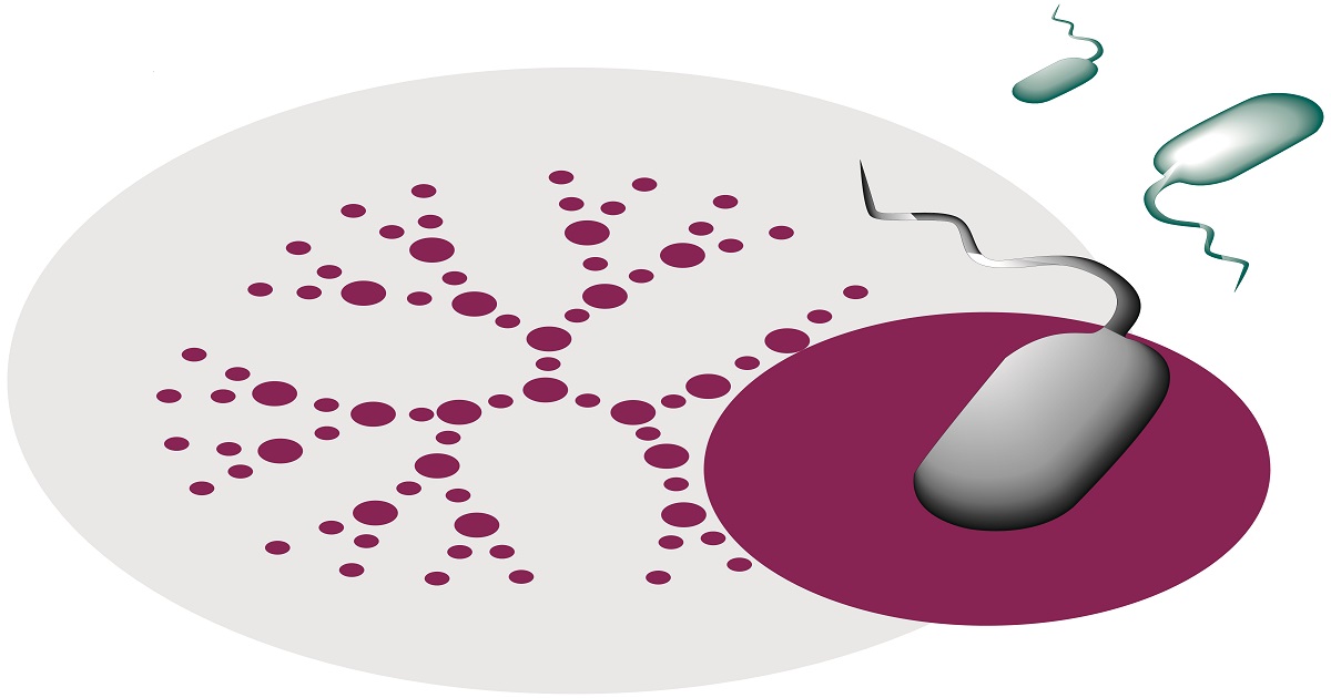 Graphical abstract