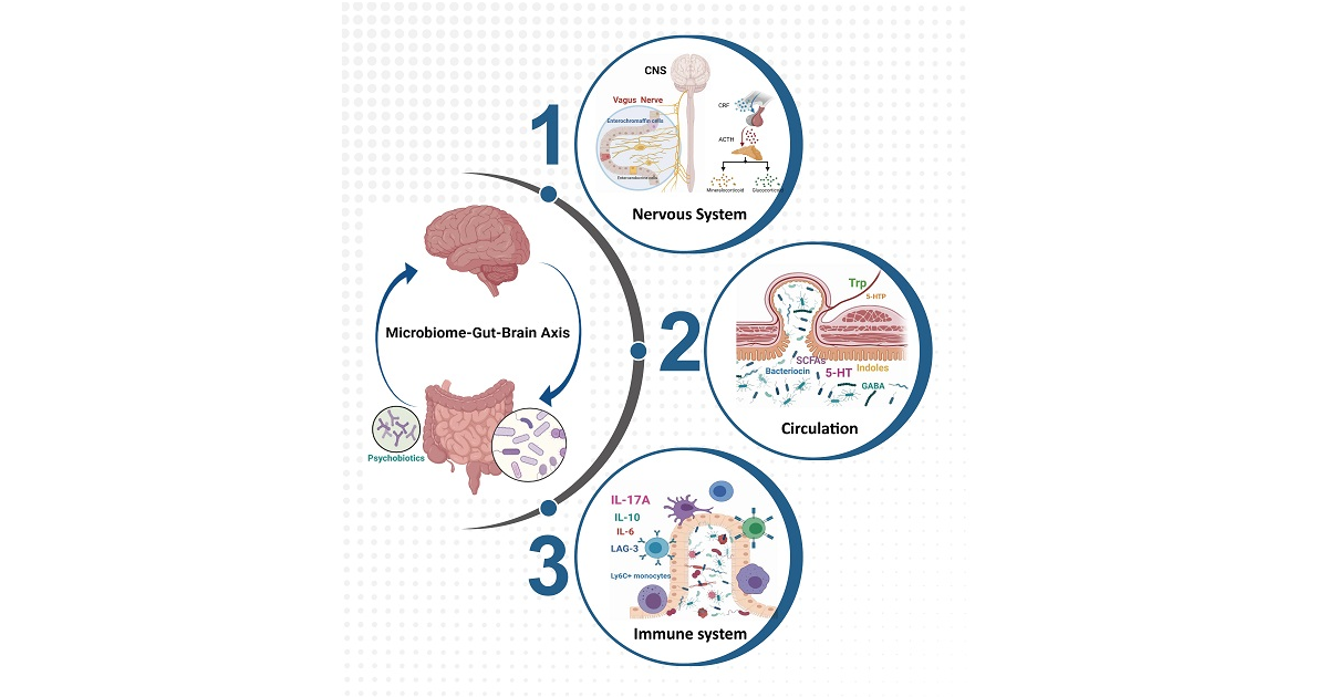 Graphical abstract