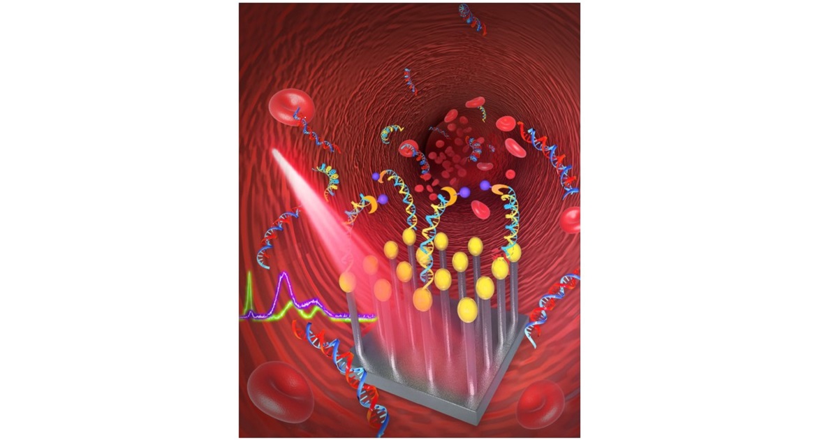 Graphical abstract