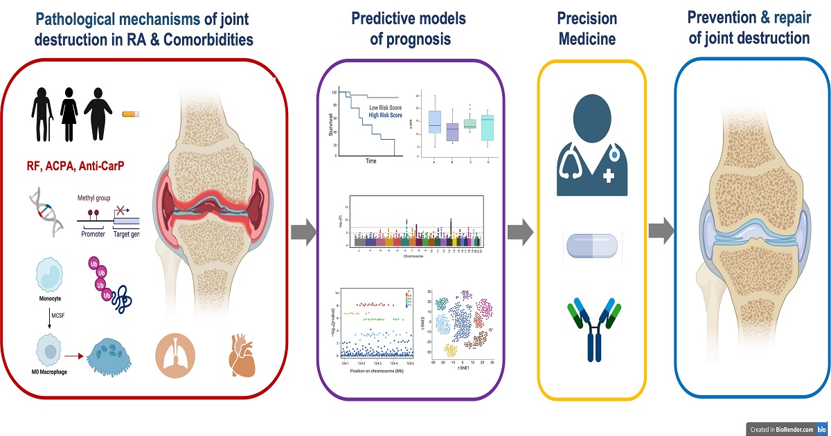 Graphical abstract