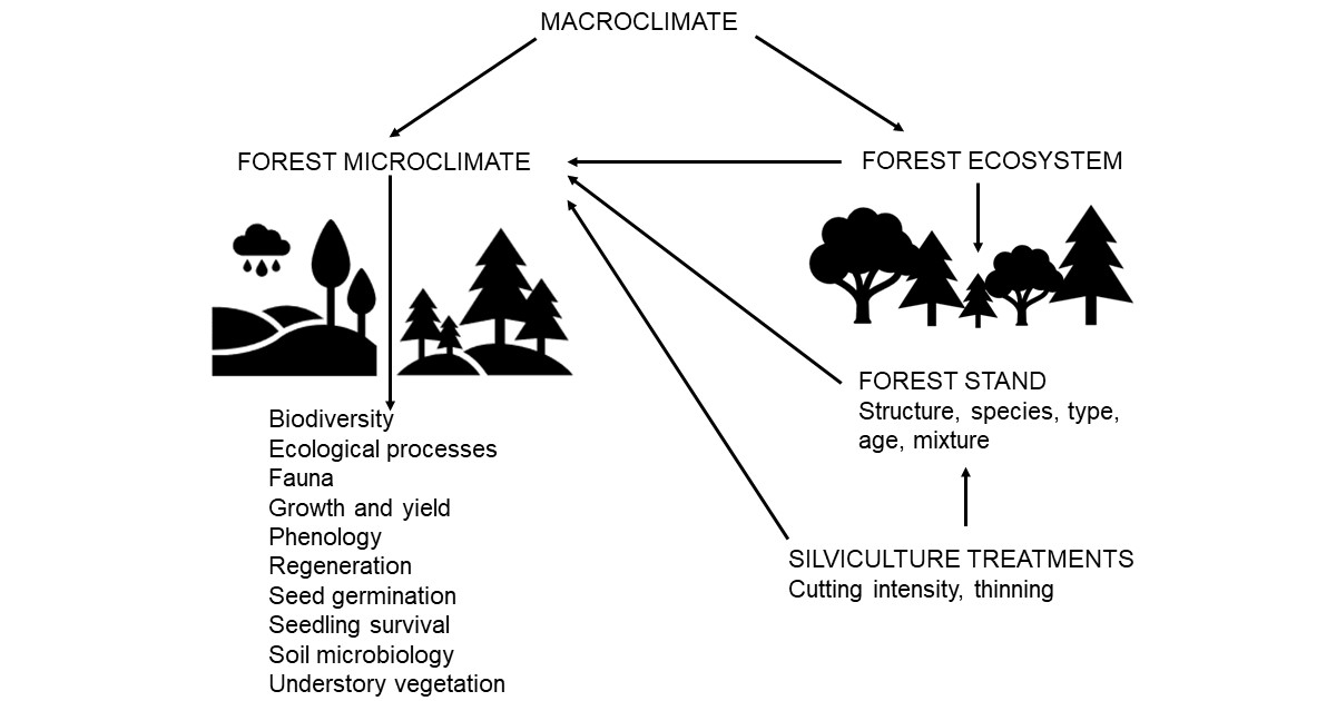 Graphical abstract - Damir Ugarković