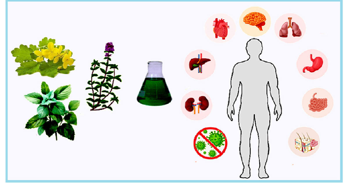 Graphical abstract