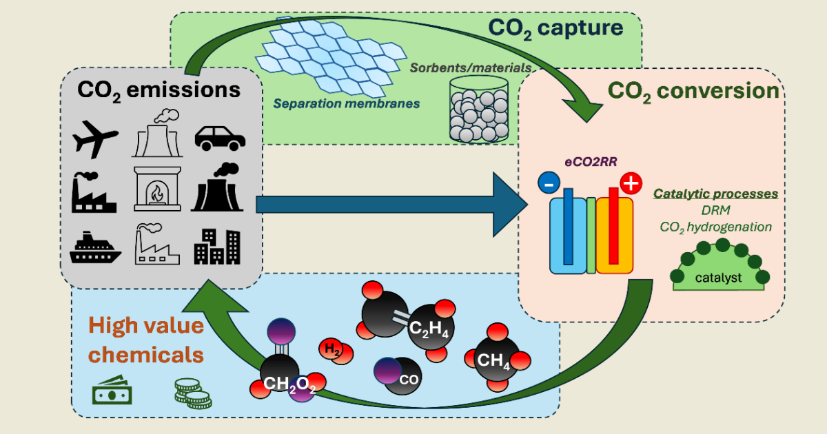 Graphical abstract