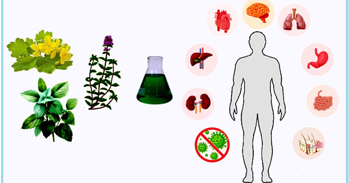 Graphical abstract
