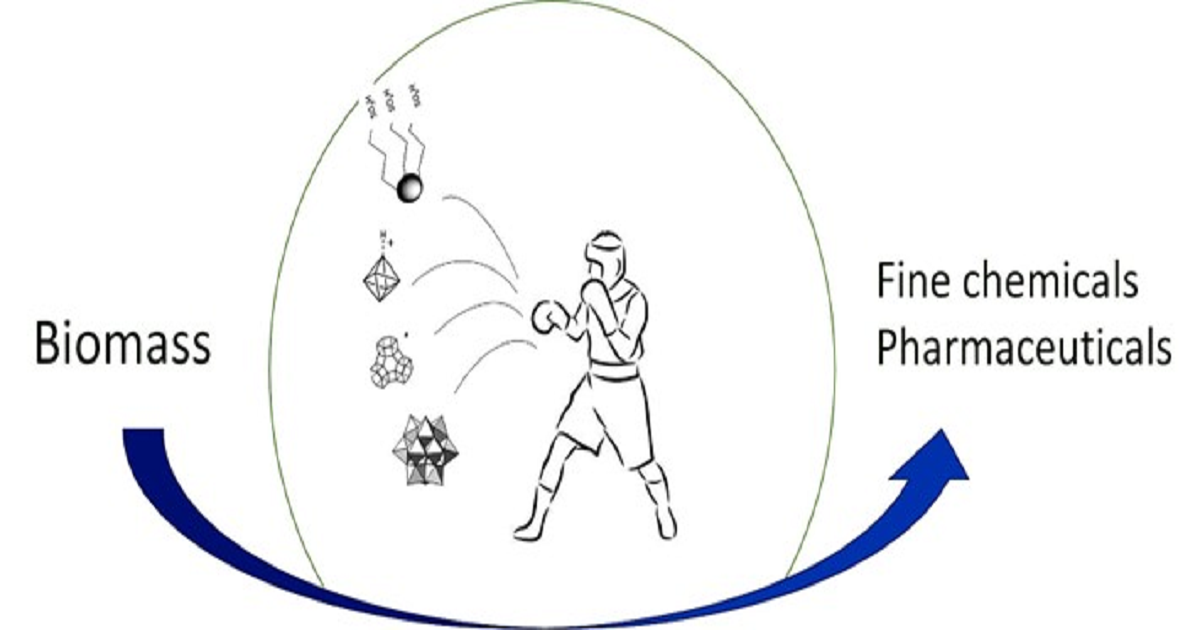 Graphical abstract