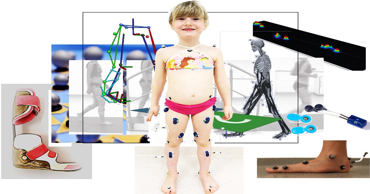 Graphical abstract