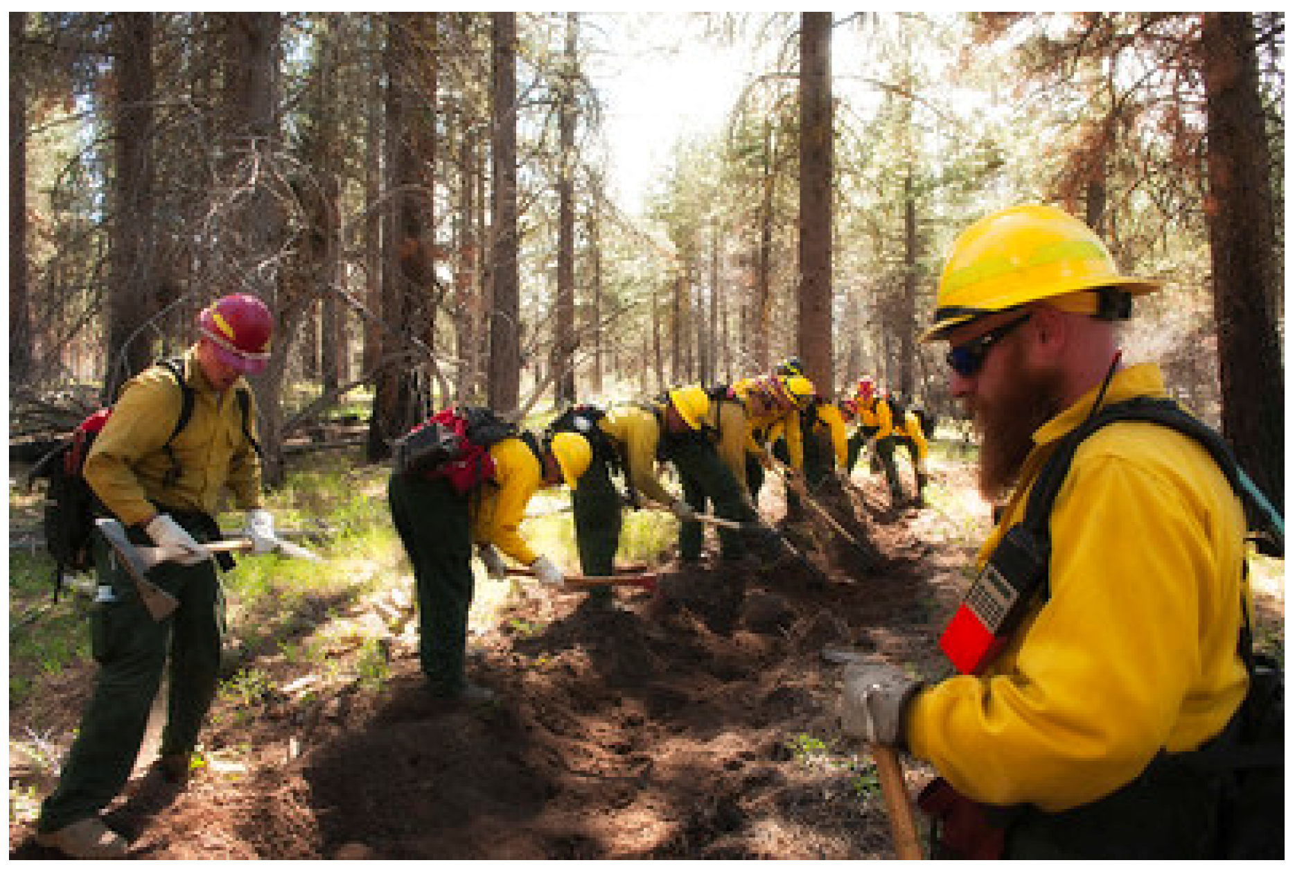 Wildland Firefighting  California Conservation Corps