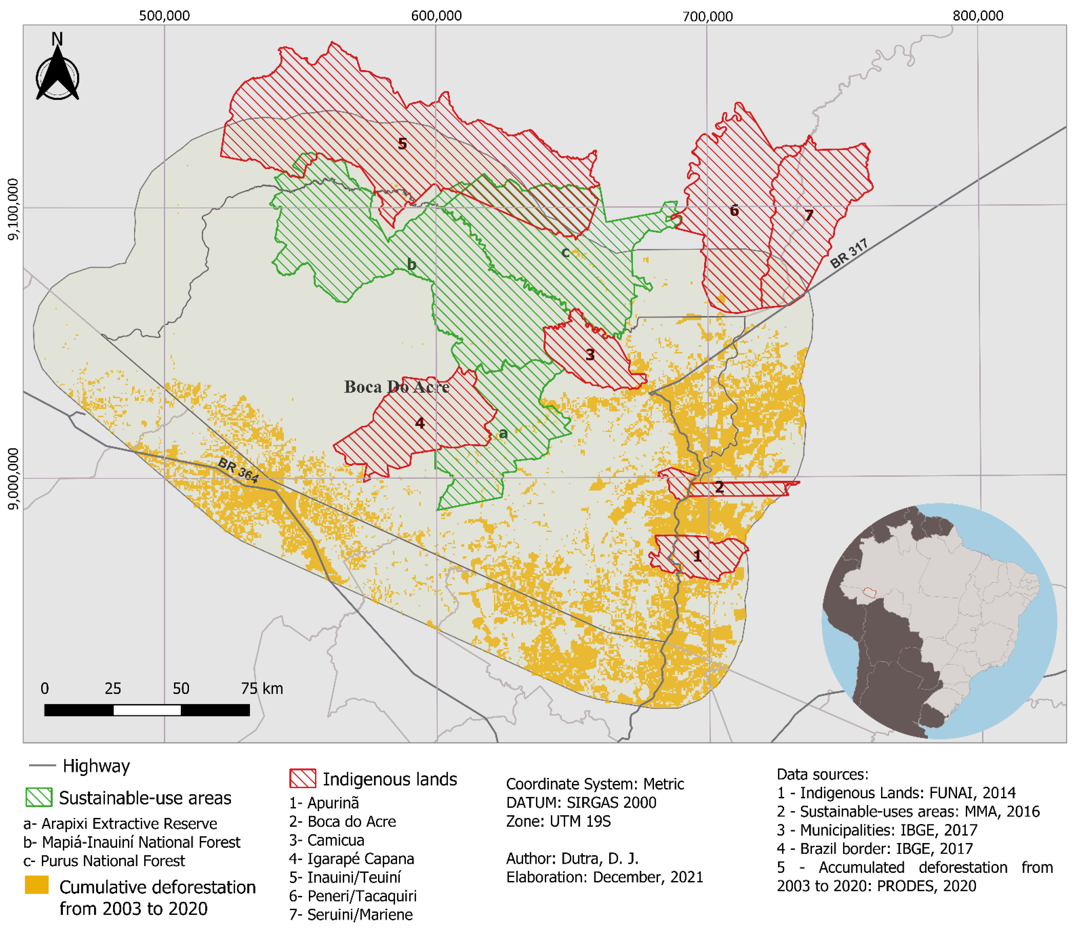 Rainforest Mafias: How Violence and Impunity Fuel Deforestation in Brazil's