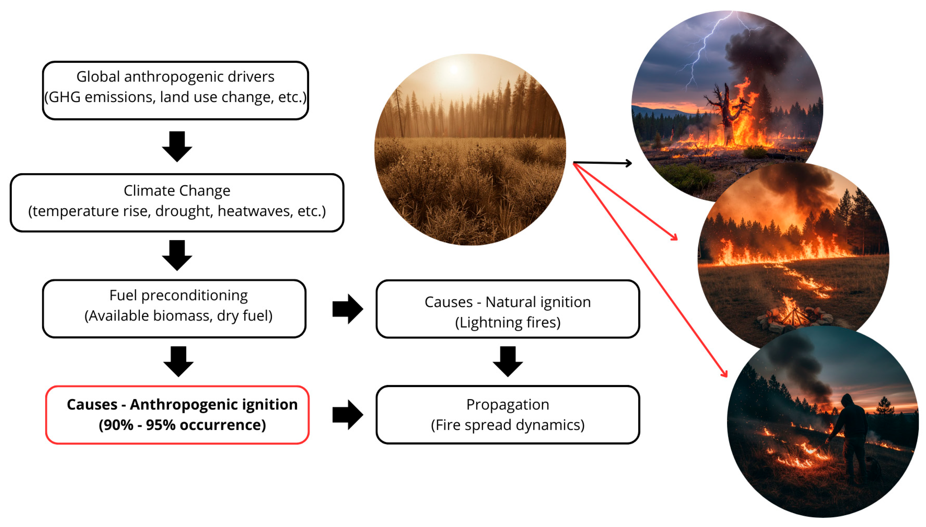 Fire Feedback Loop Conceptual Clarity in Fire Science: A Systematic Review Linking ...