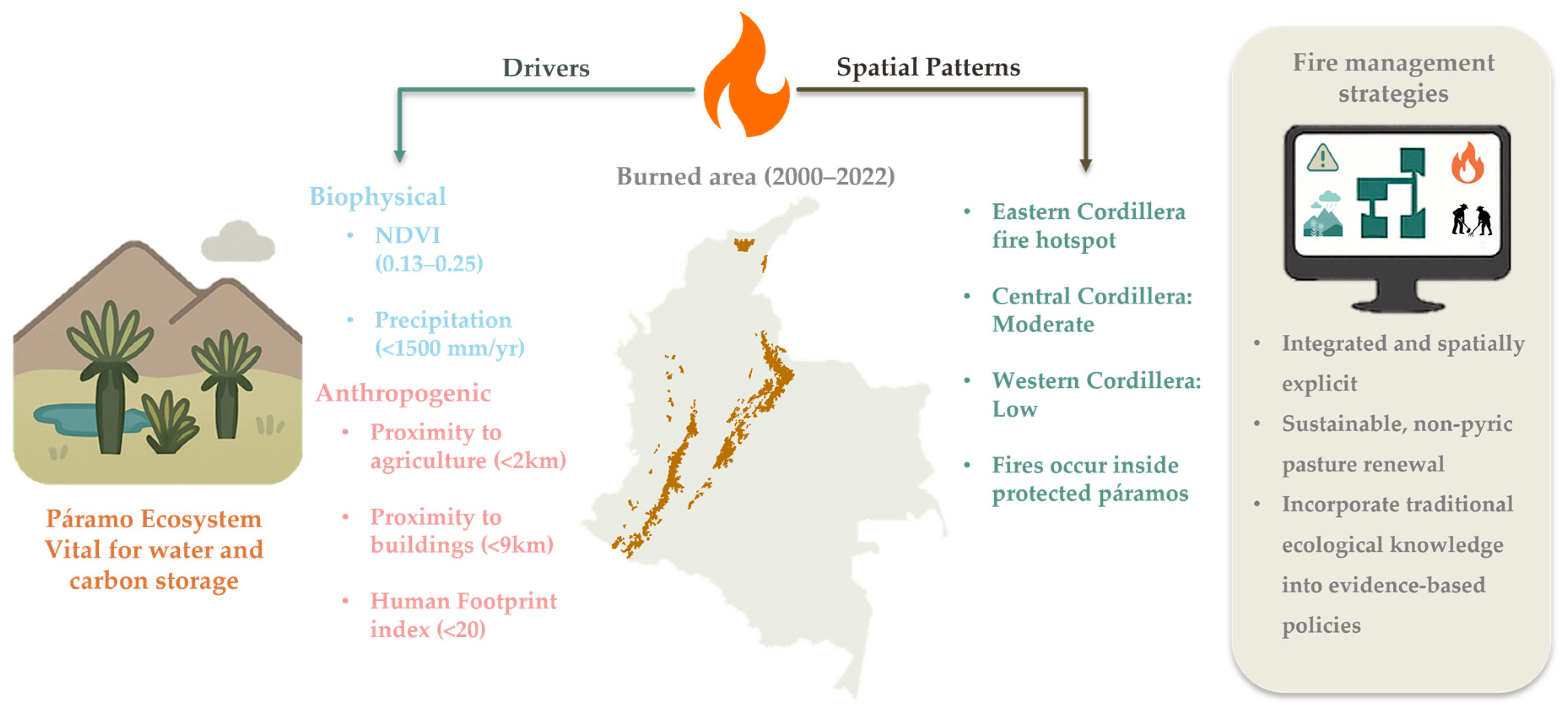 Drivers and Spatial Patterns of Burned Area in High-Andean Páramos