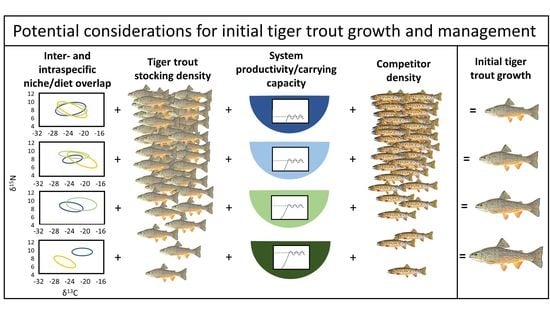 NEW PIKE LEVEL 1000 - Feed and Grow Fish - Part 91