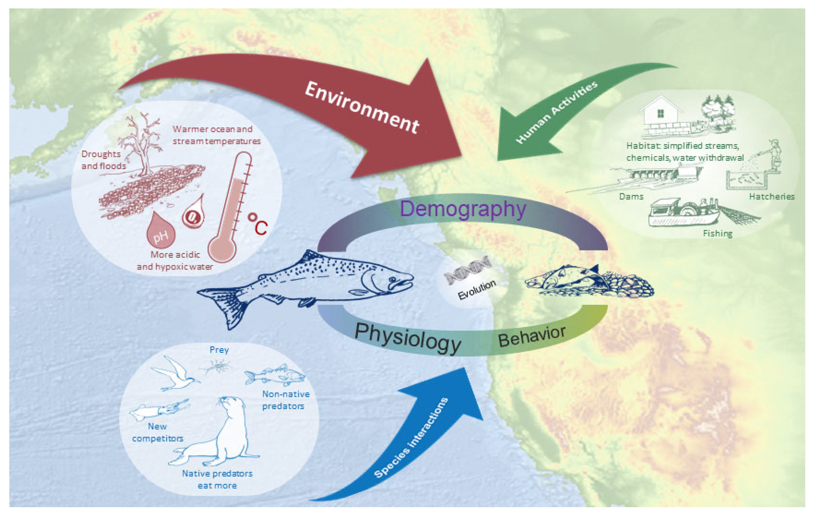 PDF) Species interactions and climate change: How the disruption