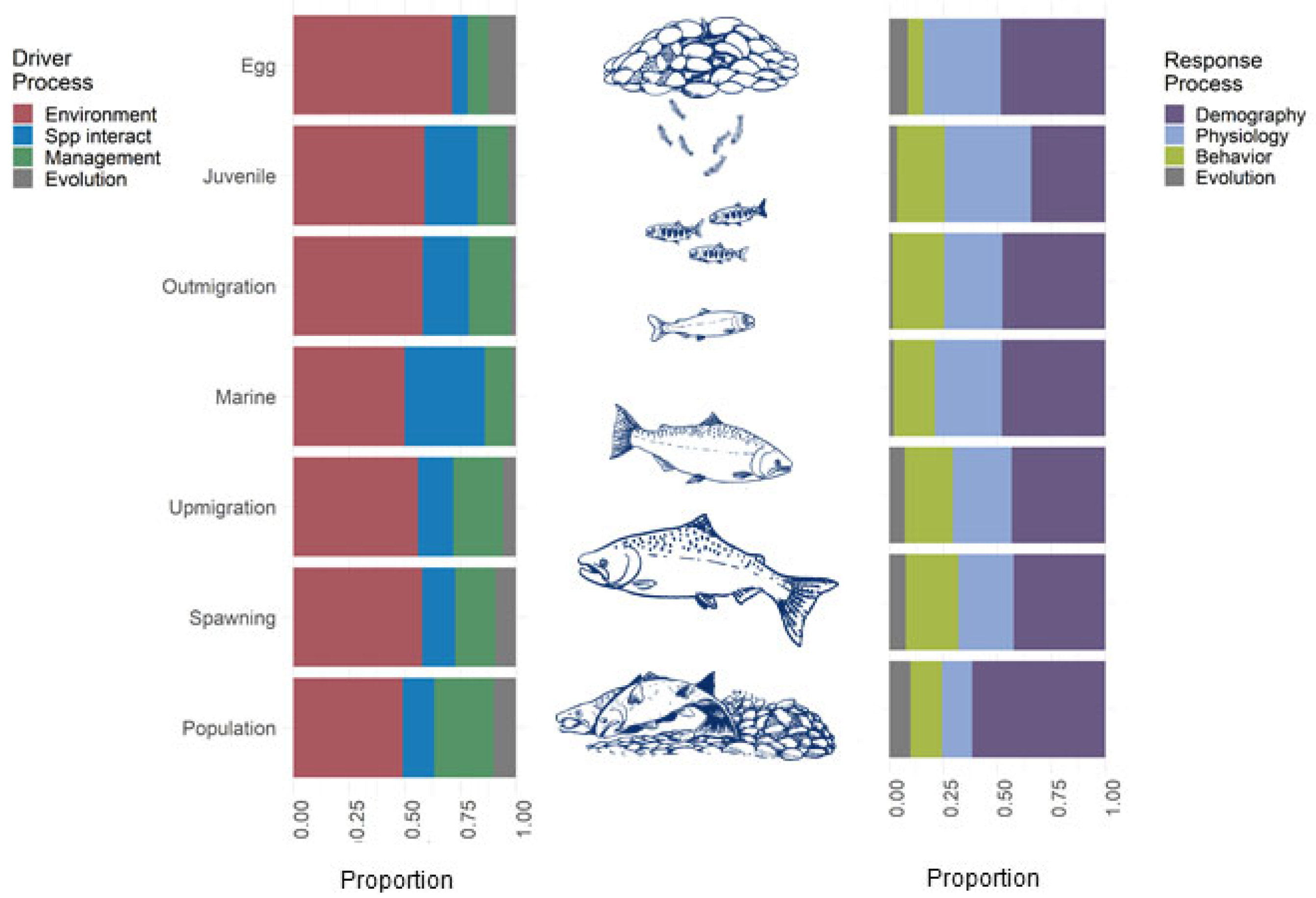 Fishes | Free Full-Text | A Comprehensive Review of the Impacts of