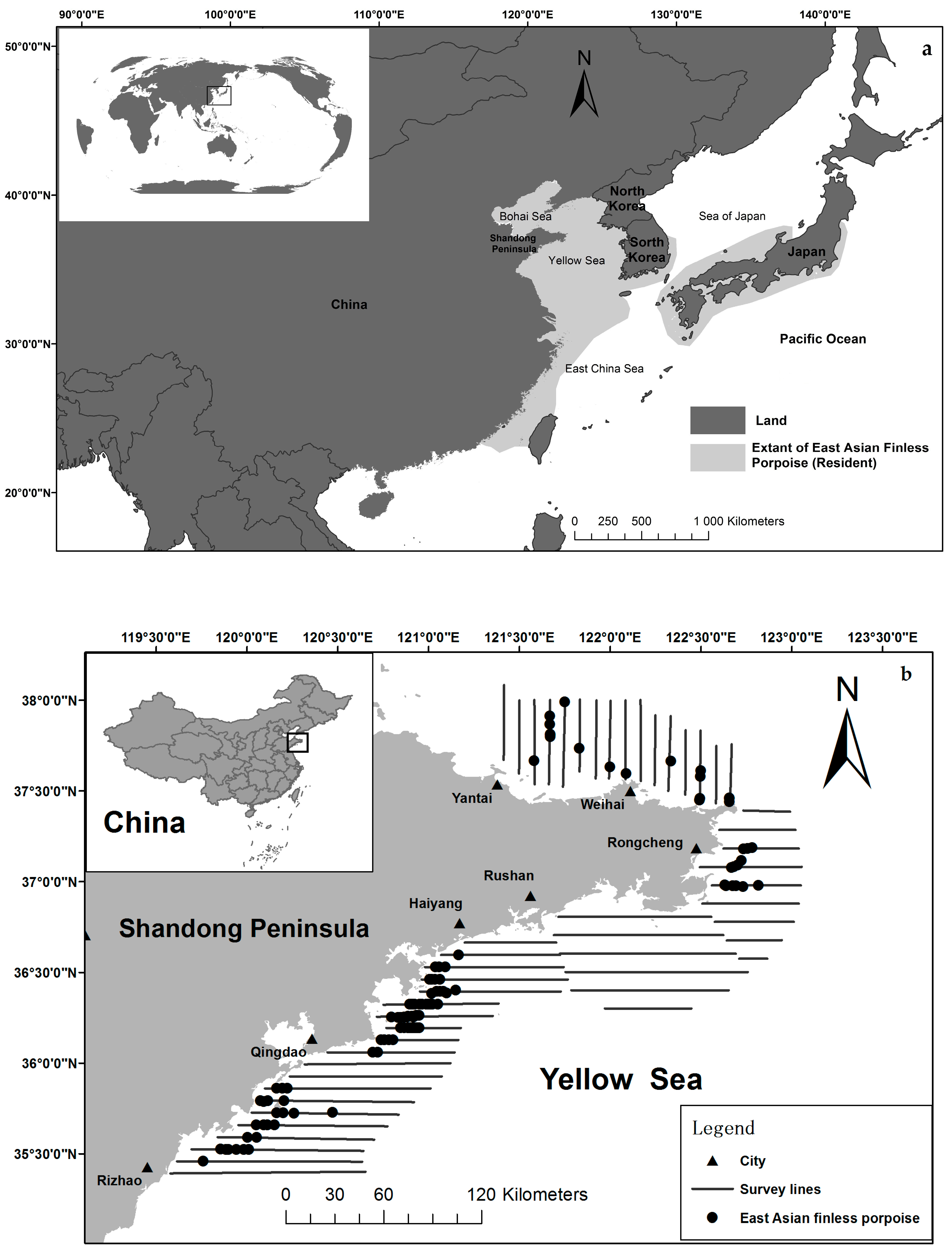 Fishes Free Full-Text Distribution and Abundance of the East Asian Finless Porpoise in the Coastal Waters of Shandong Peninsula, Yellow Sea, China image photo