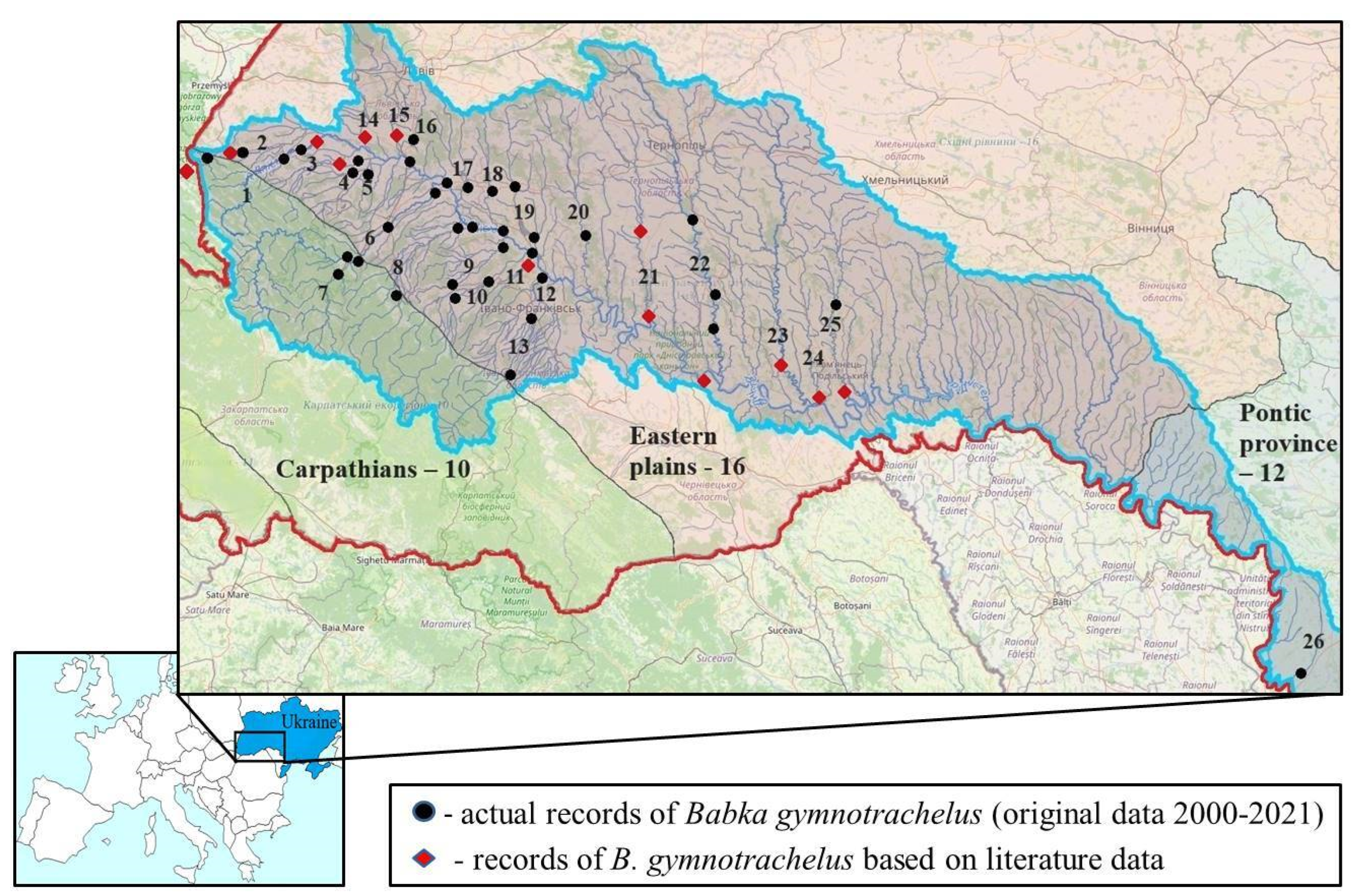 Fishes Free Full-Text Morphological and Trophic Features of the Invasive Babka gymnotrachelus (Gobiidae) in the Plain and Mountainous Ecosystems of the Dniester Basin Spatiotemporal Expansion and Possible Threats to Native