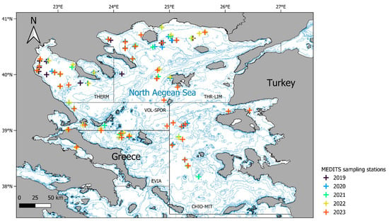 Fishes | Free Full-Text | Ontogenetic, Spatial and Inter-Annual ...