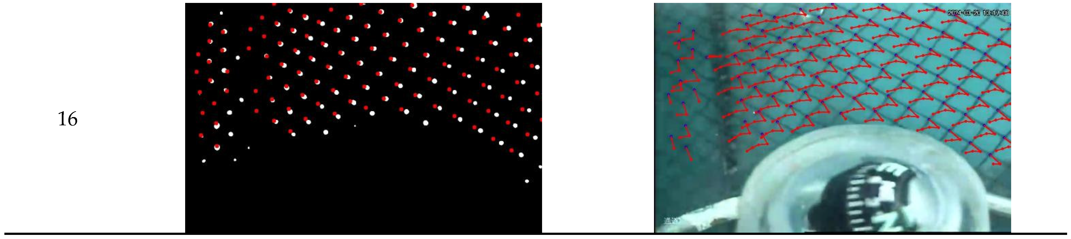 Misdirection Mesh Detection and Tracking of Mesh Intersection Points for Autonomous Net ...