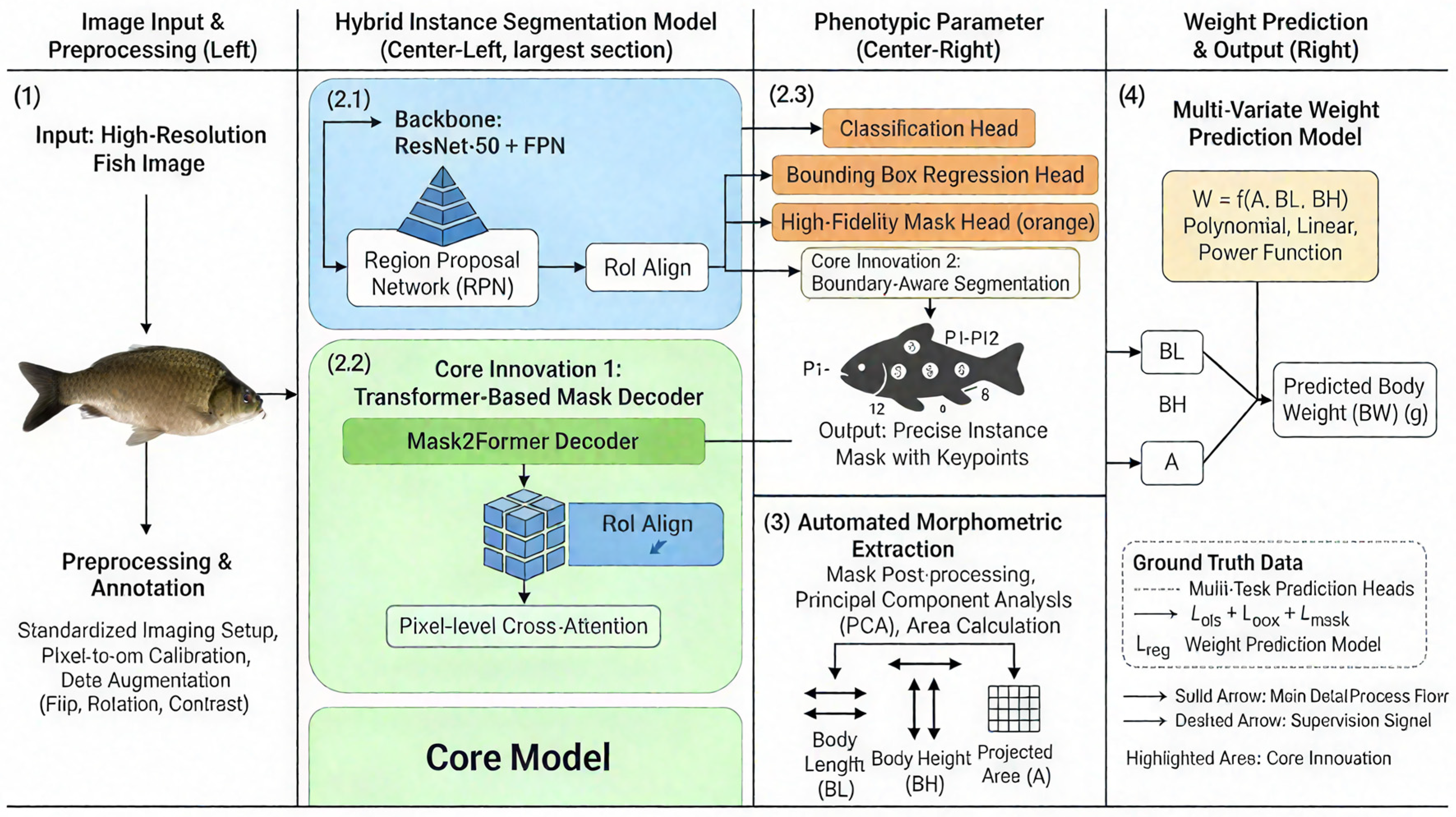 Transformer-Enhanced Instance Segmentation for Automated Crucian Carp ...