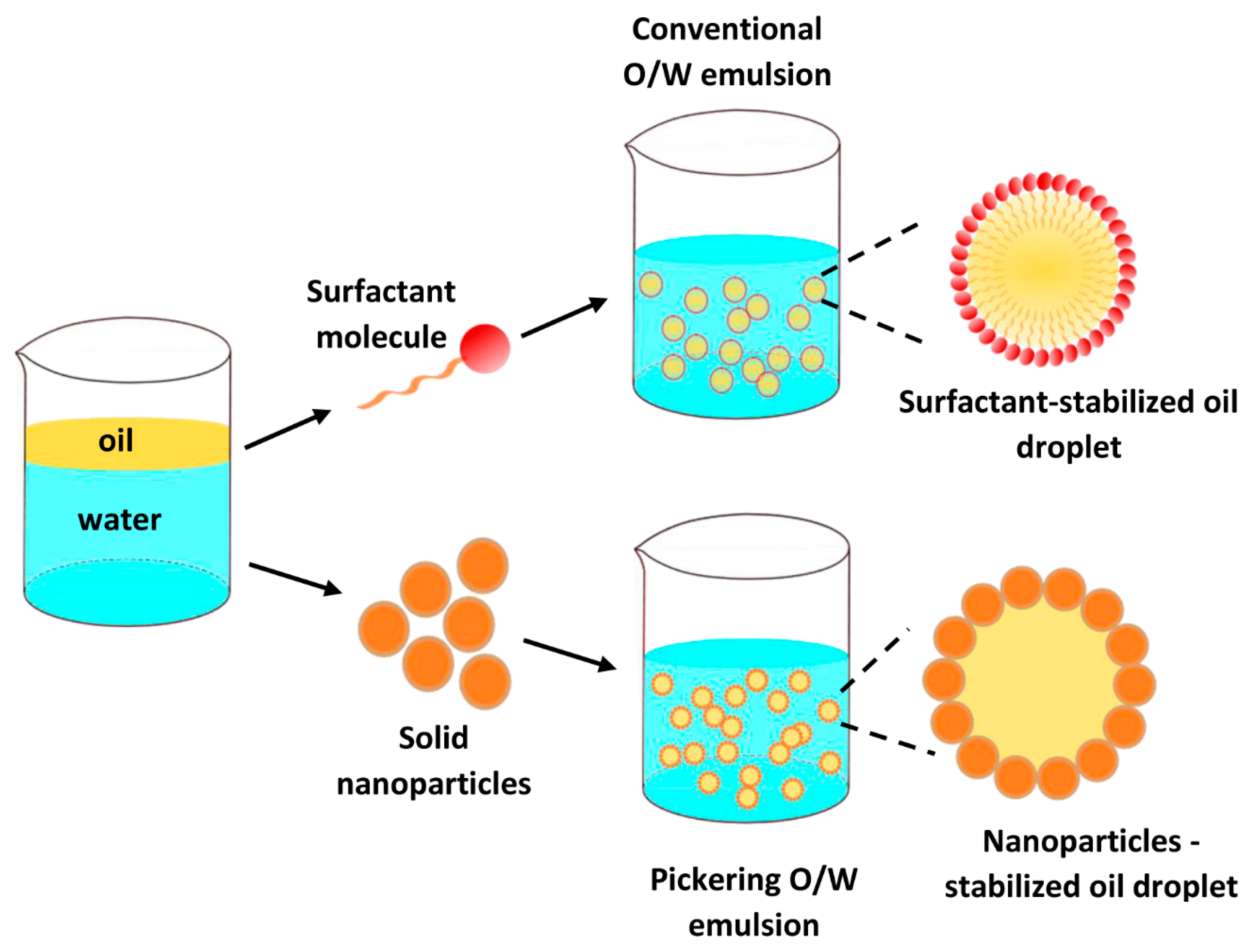 Modeling Of Sedimentation And Creaming In Suspensions And Pickering Modeling Of Sedimentation And Creaming In Suspensions And Pickering