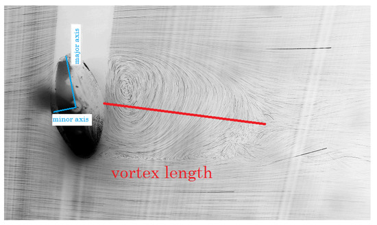 Vortex: Fluids & Mechanics Science Activity