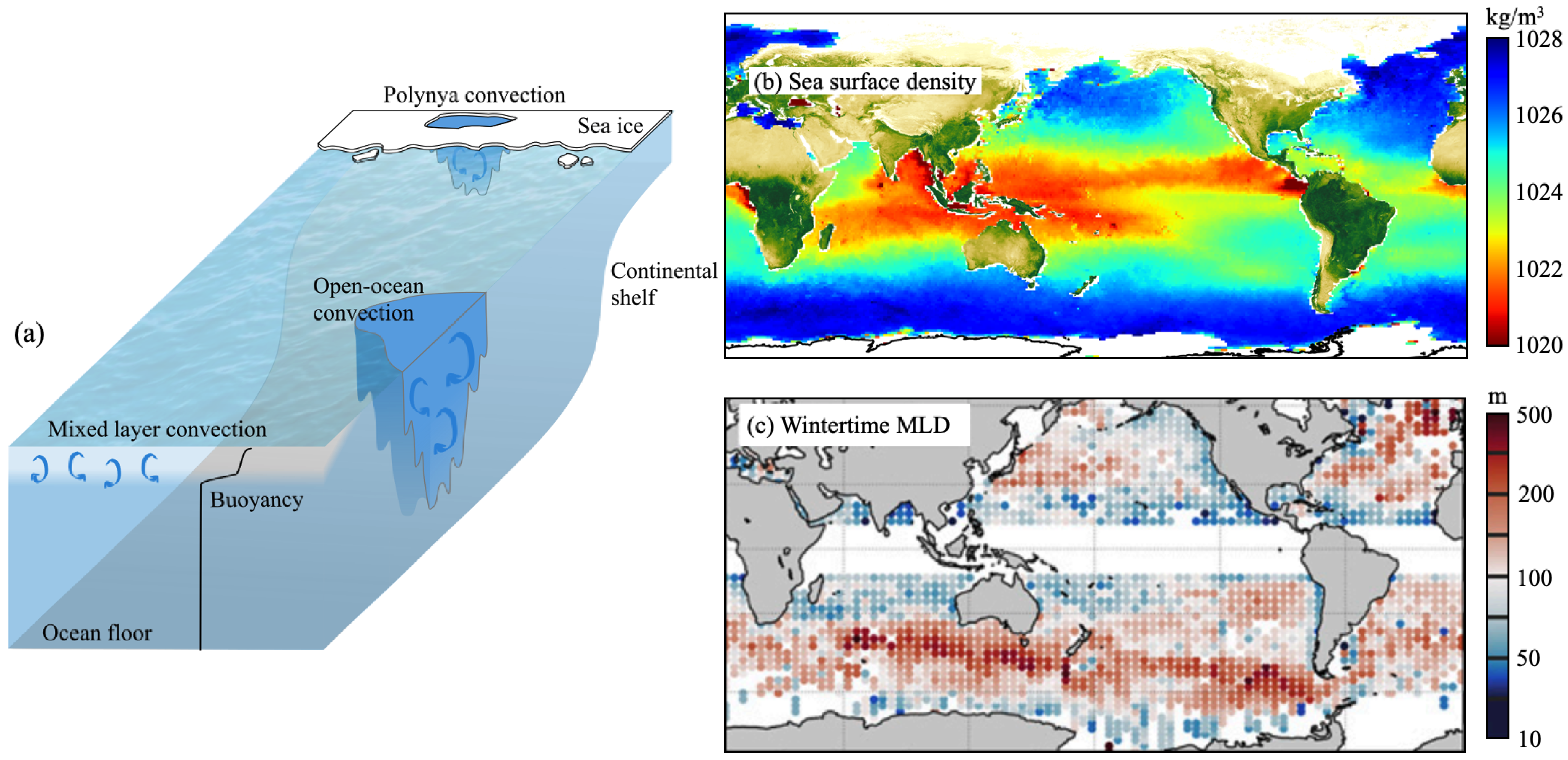 Full article: Different Generating Mechanisms for the Summer Surface Cold  Patches in the Yellow Sea