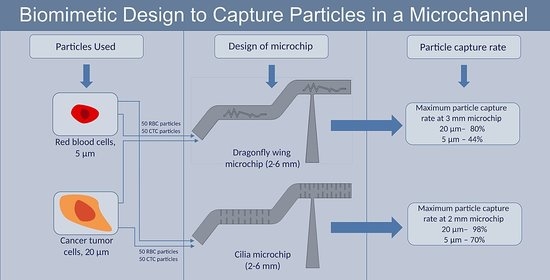Is It Clean? - Introduction to Particles - Microns - CTG Technical Blog