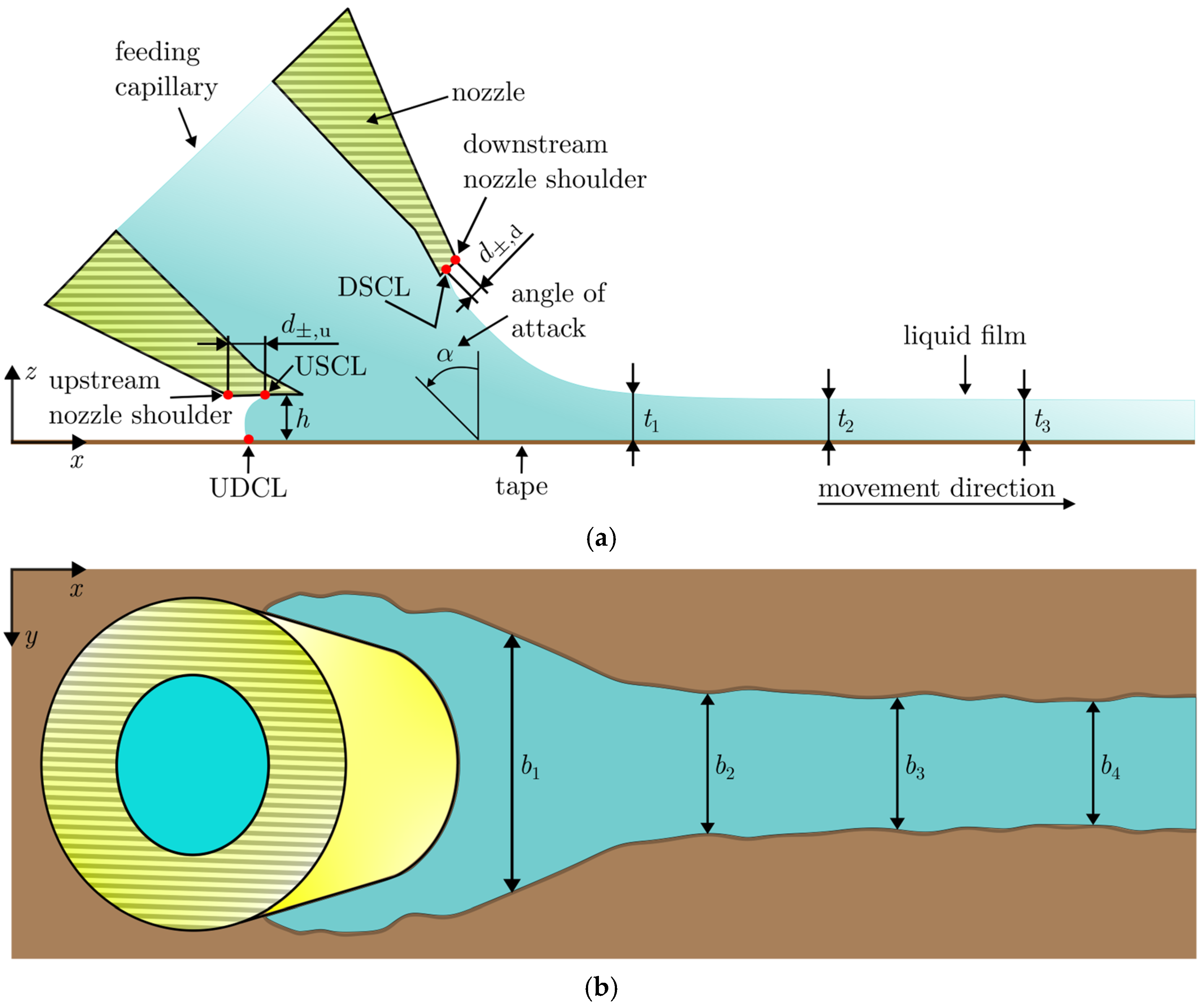 Fluids Changing Shape Spatiotemporal Analysis of Transient Liquid Film Shape