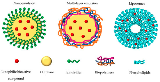 Nanostructured Lipid-Based Delivery Systems as a Strategy to Increase ...