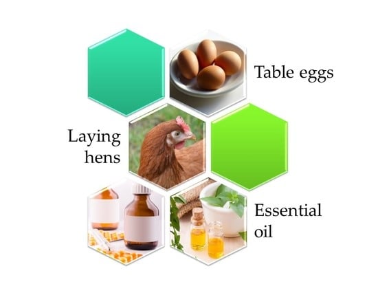 Foods | Free Full-Text | Influence of Different Tetracycline Antimicrobial  Therapy of Mycoplasma (Mycoplasma synoviae) in Laying Hens Compared to Tea  Tree Essential Oil on Table Egg Quality and Antibiotic Residues