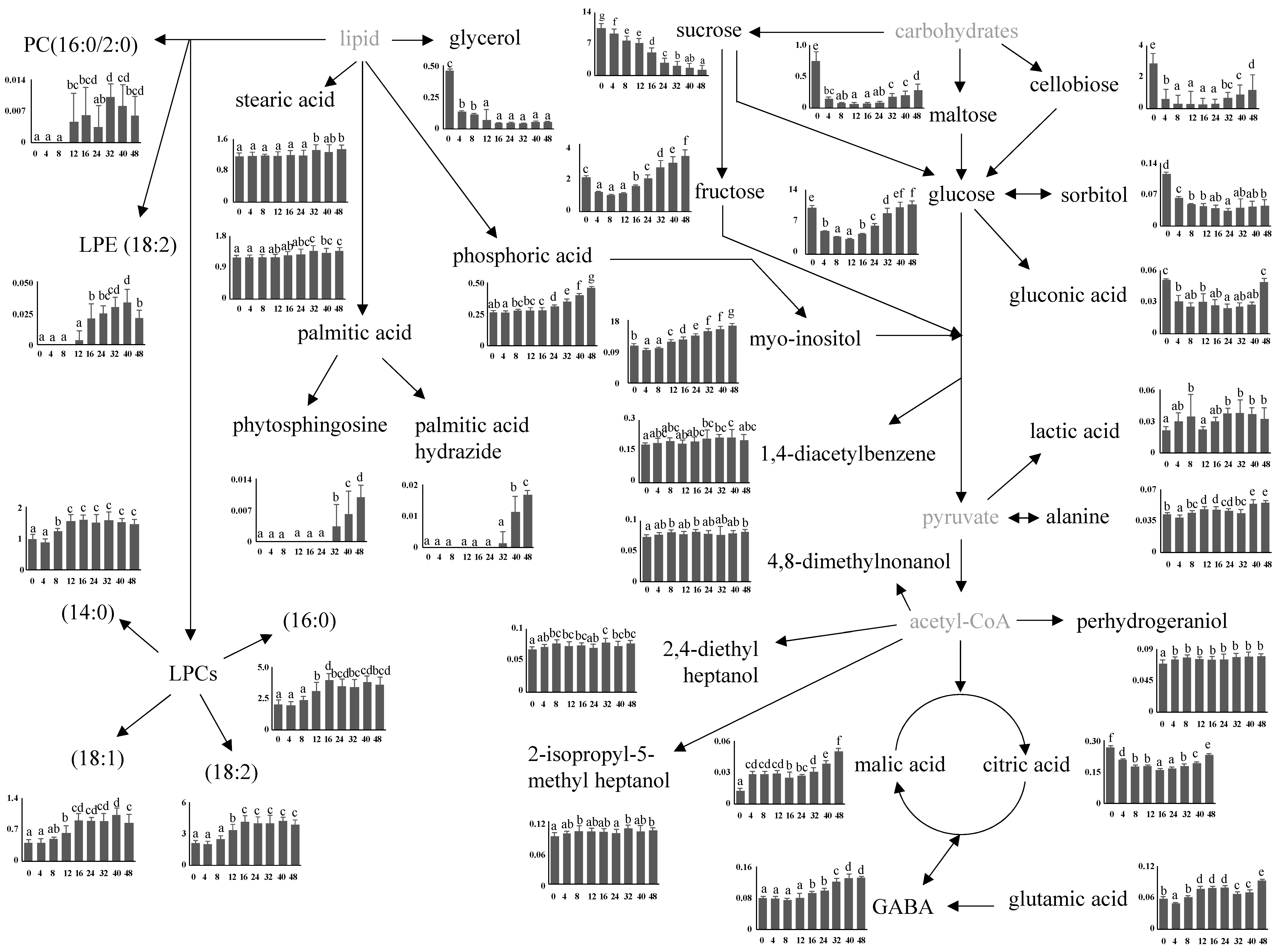 Metabolomic Analysis Of Germinated Brown Rice At Different Germination ...