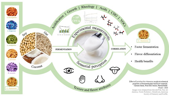 What is Lactobacillus rhamnosus  L rhamnosus Benefits, Uses and Side  Effects - DrFormulas