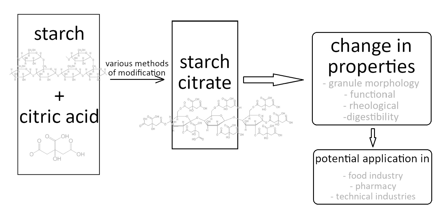 Starch: Structure, Composition, Properties, Uses, Types