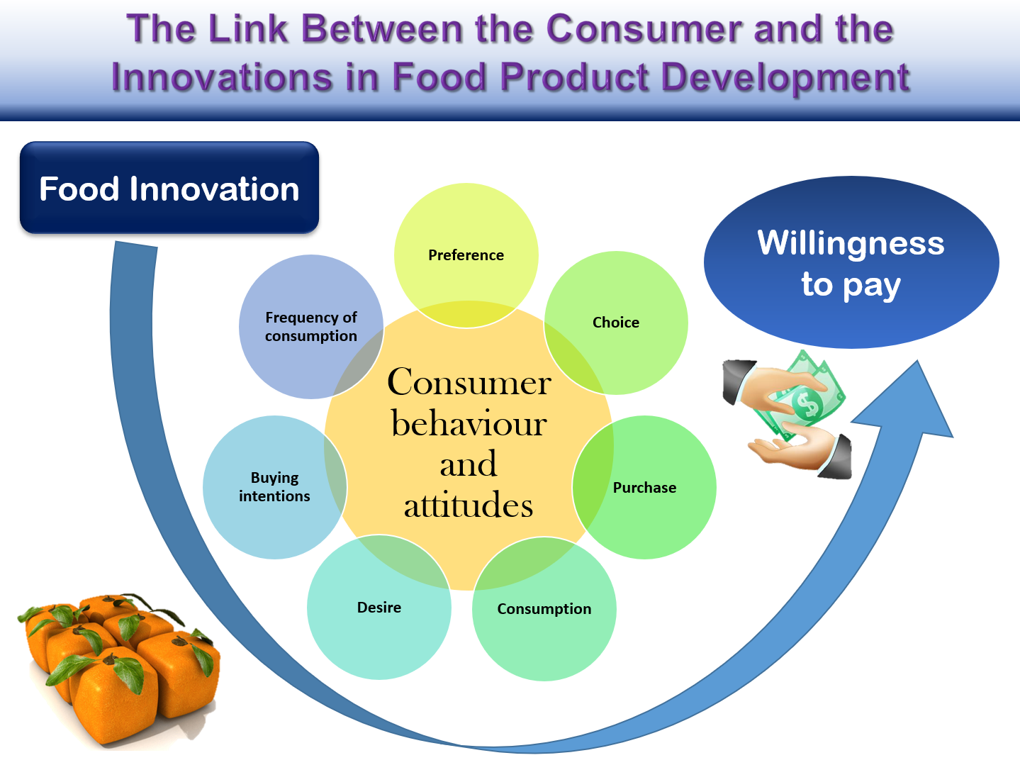 Foods | Free Full-Text | The Link between the Consumer and the ...