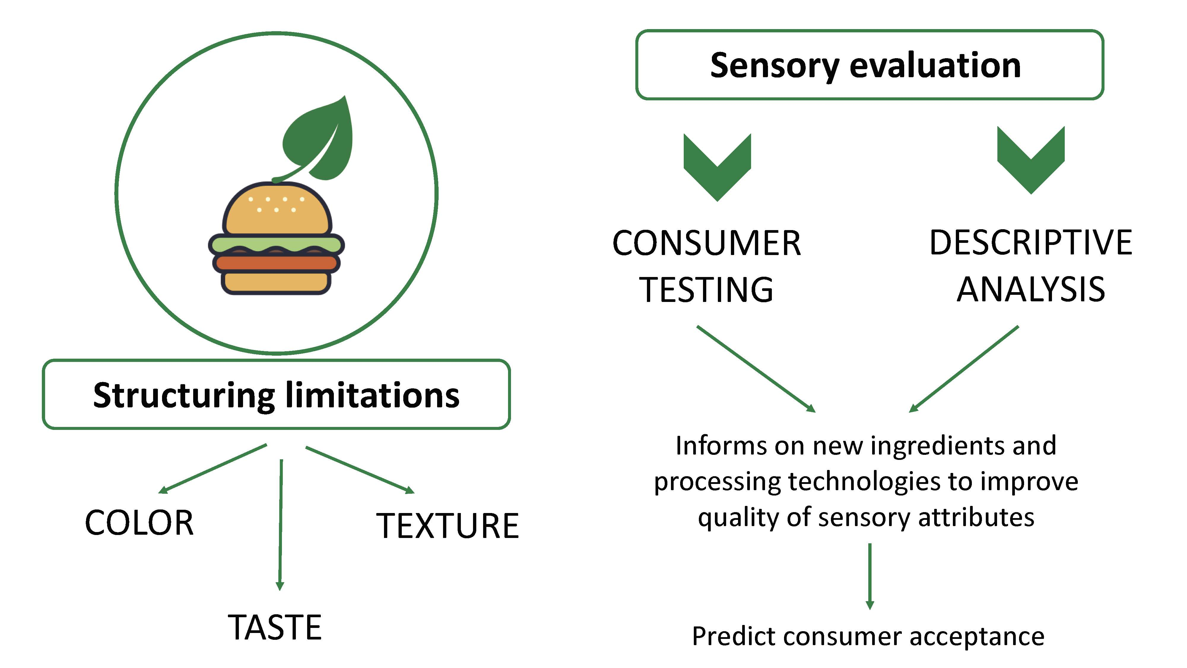 Sensory Evaluation Example At Clinton Long Blog Sensory Evaluation Example At Clinton Long Blog