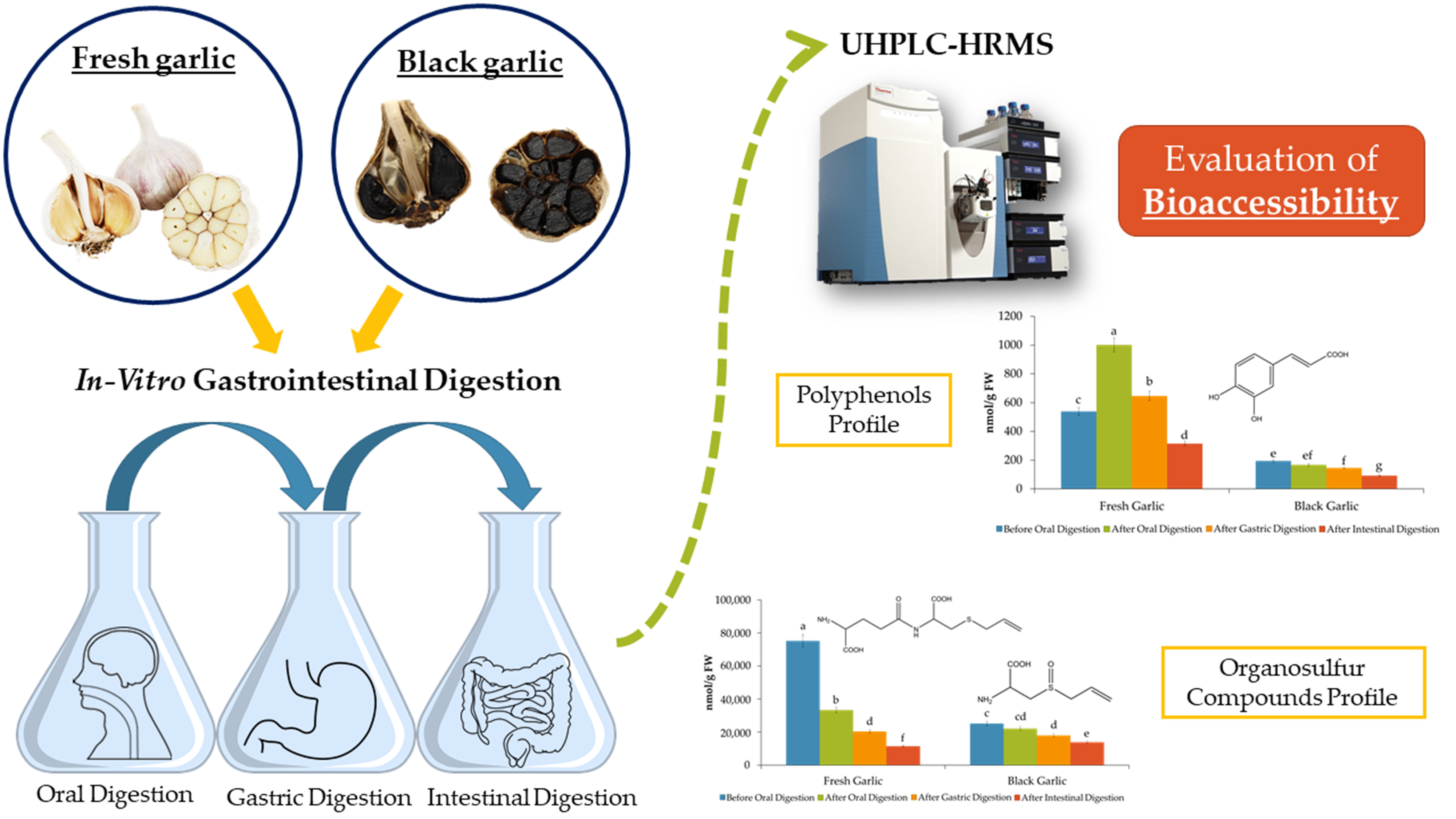 SciELO - Brazil - Novel NARC-G1 garlic: comparative allicin
