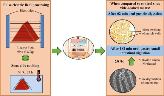 Foods | Free Full-Text | Effects of Pulsed Electric Field Processing and Vide Cooking on Muscle Structure and In Protein Digestibility of Beef Brisket